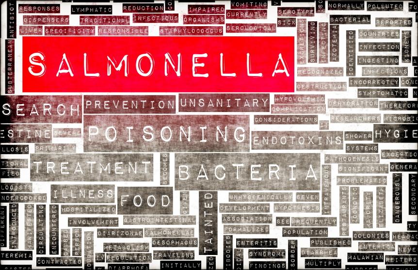 How to Filter Salmonella in Your Drinking Water