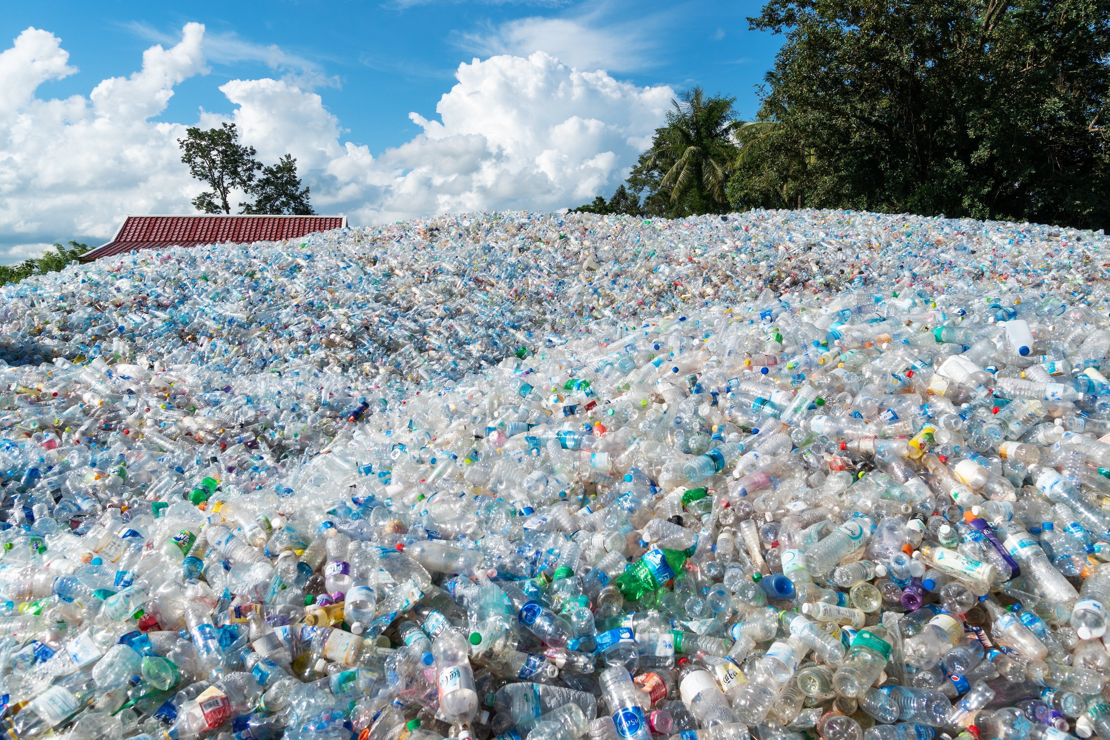 Why Water Filters are Good for the Environment