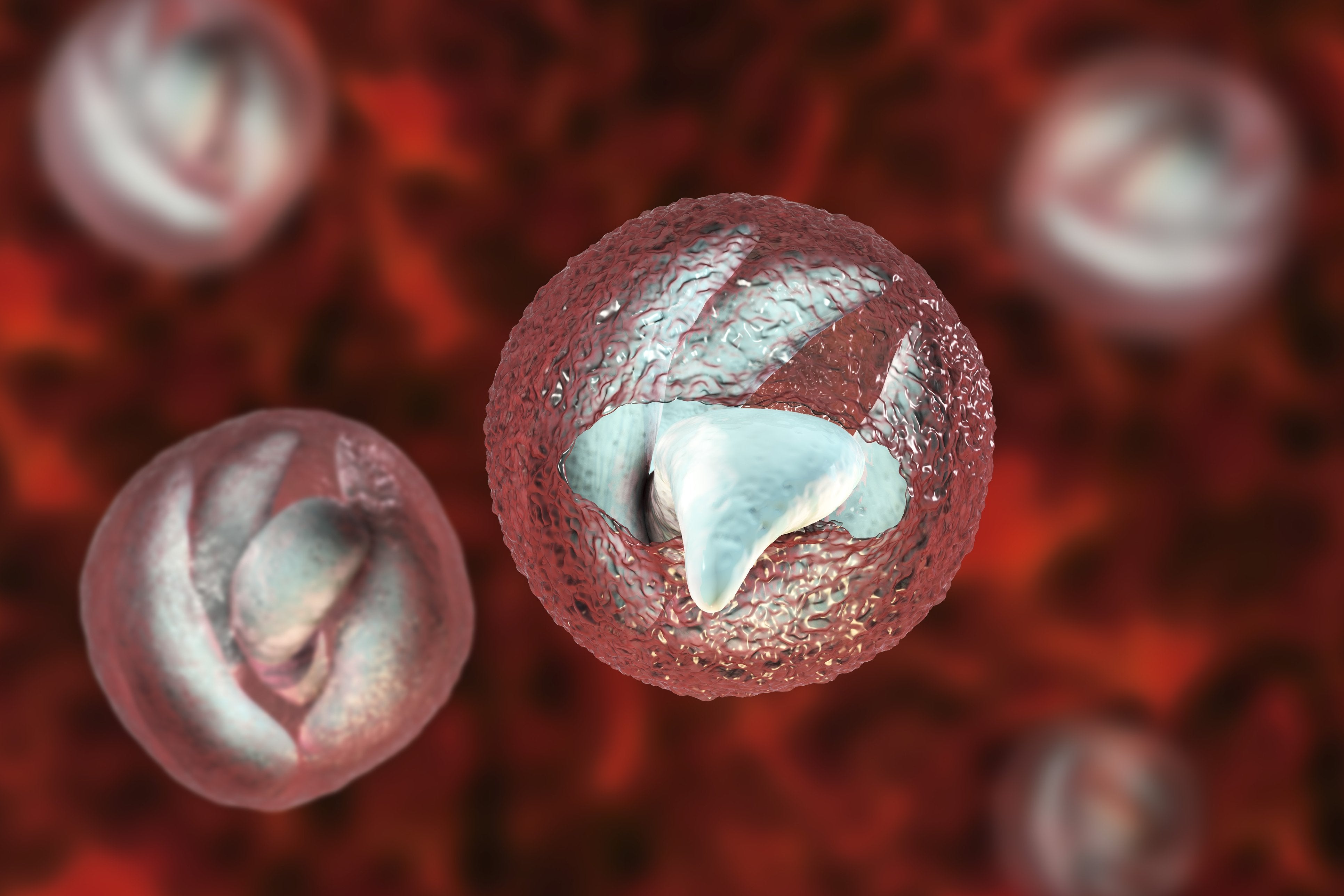 Drinking Water Contaminants: Cryptosporidium