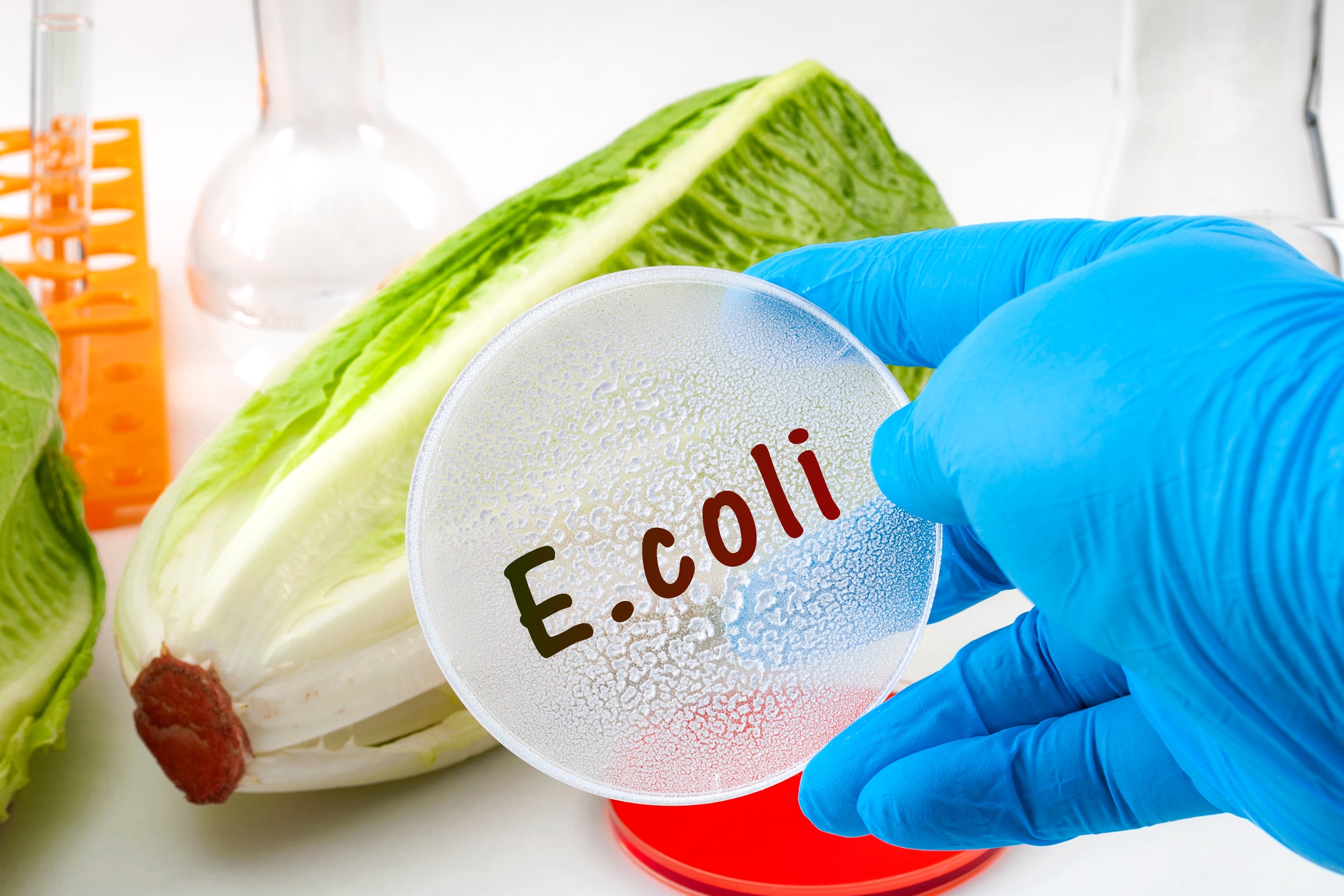 Protection from E. coli in Drinking Water?
