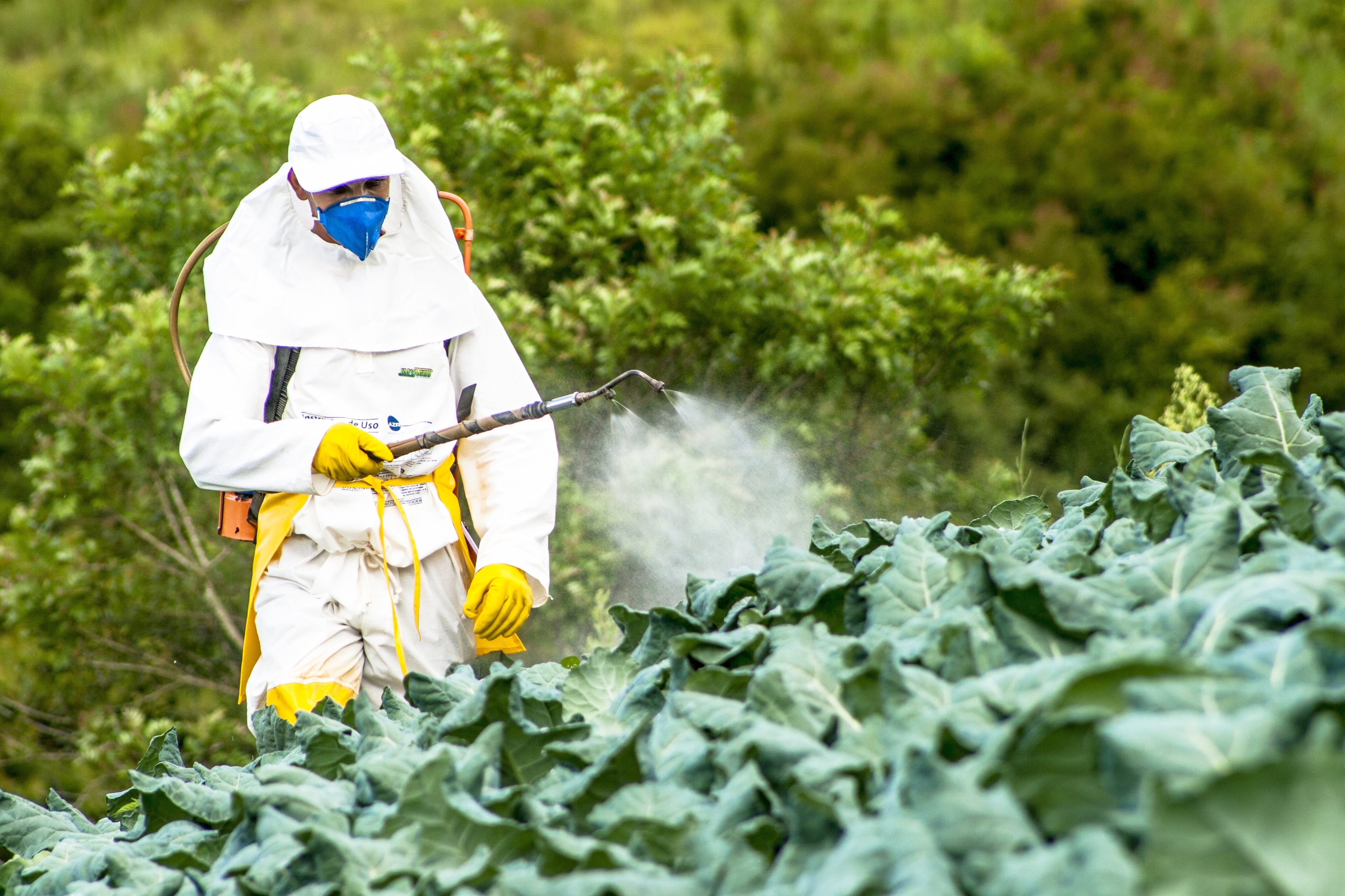 Filtering Pesticides out of Your Drinking Water