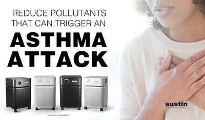 Austin Air Standard HealthMate Air Purifier