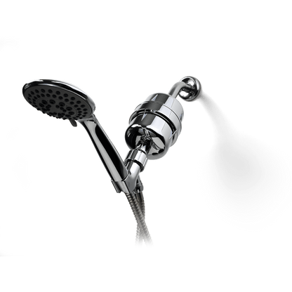 ProOne Chrome Hand Held Shower Filter
